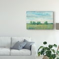 thumbnail image 3 of Trademark Fine Art 'Splendor in Spring I' Canvas Art by Tim OToole, 3 of 4