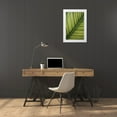 thumbnail image 4 of Erin Berzel 11x14 White Modern Wood Framed Wall Art Titled - Leaf Detail II, 4 of 5