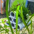 thumbnail image 6 of Aquarium Habitat Tubes for Shrimp or Fish, 6 of 10