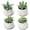 Rustic Green, variant on Muchenggift Succulent 4" Artificial Succulent Plants in Rustic Finish Modern Ceramic Pots, 4 Count