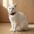 thumbnail image 6 of Cute Footprint Airtag Cat Collar Breakaway with Holder & Bell,Safety Buckle Kitten Collar with Apple Airtag Cat Collar Holder,Adjustable Classic Plaid for Girl Boy Cats, Pet Accessories,Gifts, 6 of 6