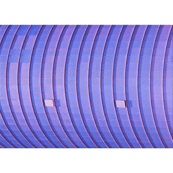 Ahgly Company Indoor Rectangle Patterned Purple Mimosa Purple Area Rugs, 7' x 10'