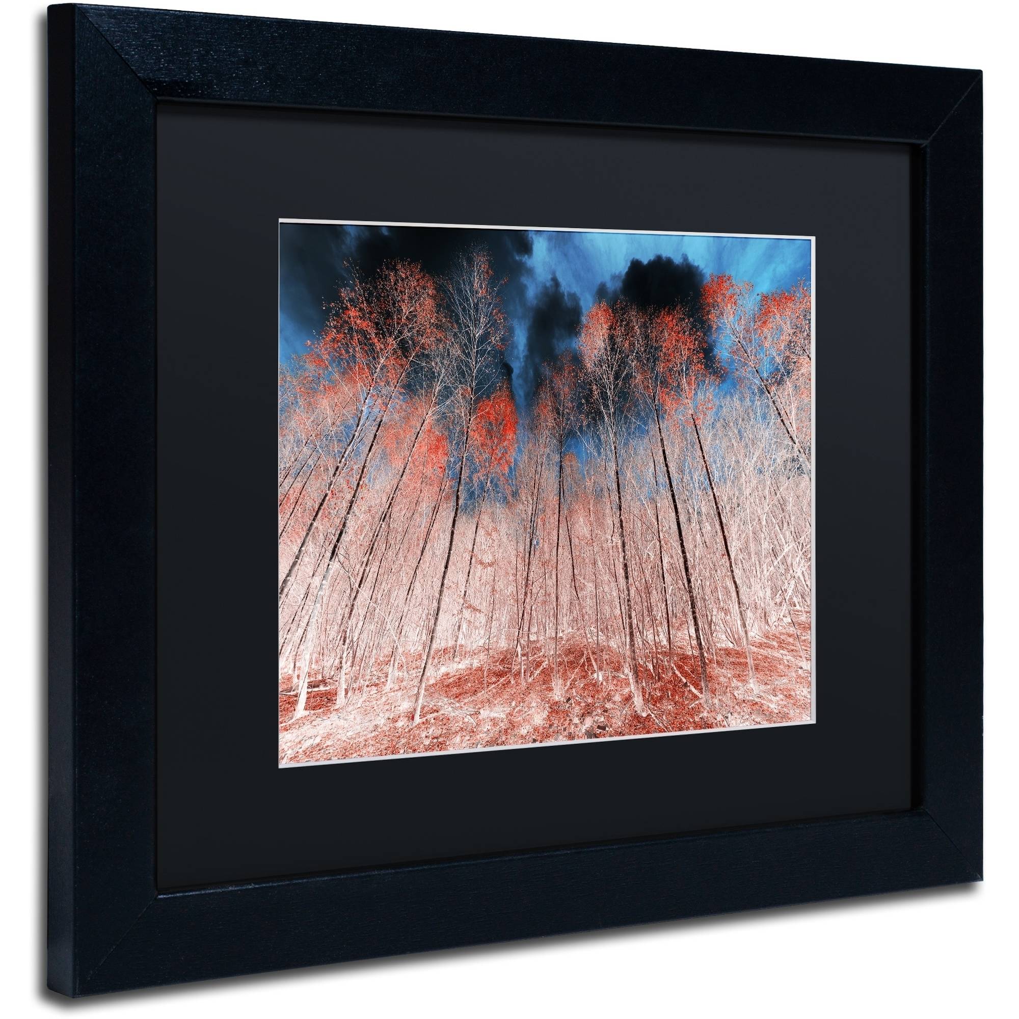 Trademark Fine Art "First Show" Canvas Art by Philippe Sainte-Laudy Black Matte, Black Frame