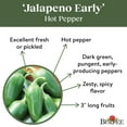 thumbnail image 5 of Burpee Organic Jalapeño Early Hot Pepper Vegetable Seed, 1-Pack, 5 of 6