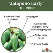 Burpee Organic Jalapeño Early Hot Pepper Vegetable Seed, 1-Pack