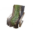 thumbnail image 4 of Plant Soft Flannel Fleece Blanket, National Flower of Lesotho South of Africa Aloe Polyphylla Spinning Spiral Aloe Vera, Cozy Plush for Indoor and Outdoor Use, 70" x 90", Multicolor, by Ambesonne, 4 of 6
