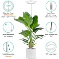 thumbnail image 4 of Plant Grow Light Full Spectrum Plant Light for Indoor Plants Brightness Adjustable LED Growing Lamp with Auto On/Off Timer H/H/H Height Adjustable Ideal for Tall Plants of, 4 of 7