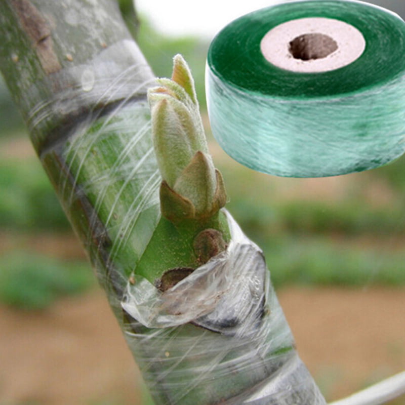 1 Roll Grafting Tape Membrane Stretchable Self-adhesive Tree Seedling Repair 