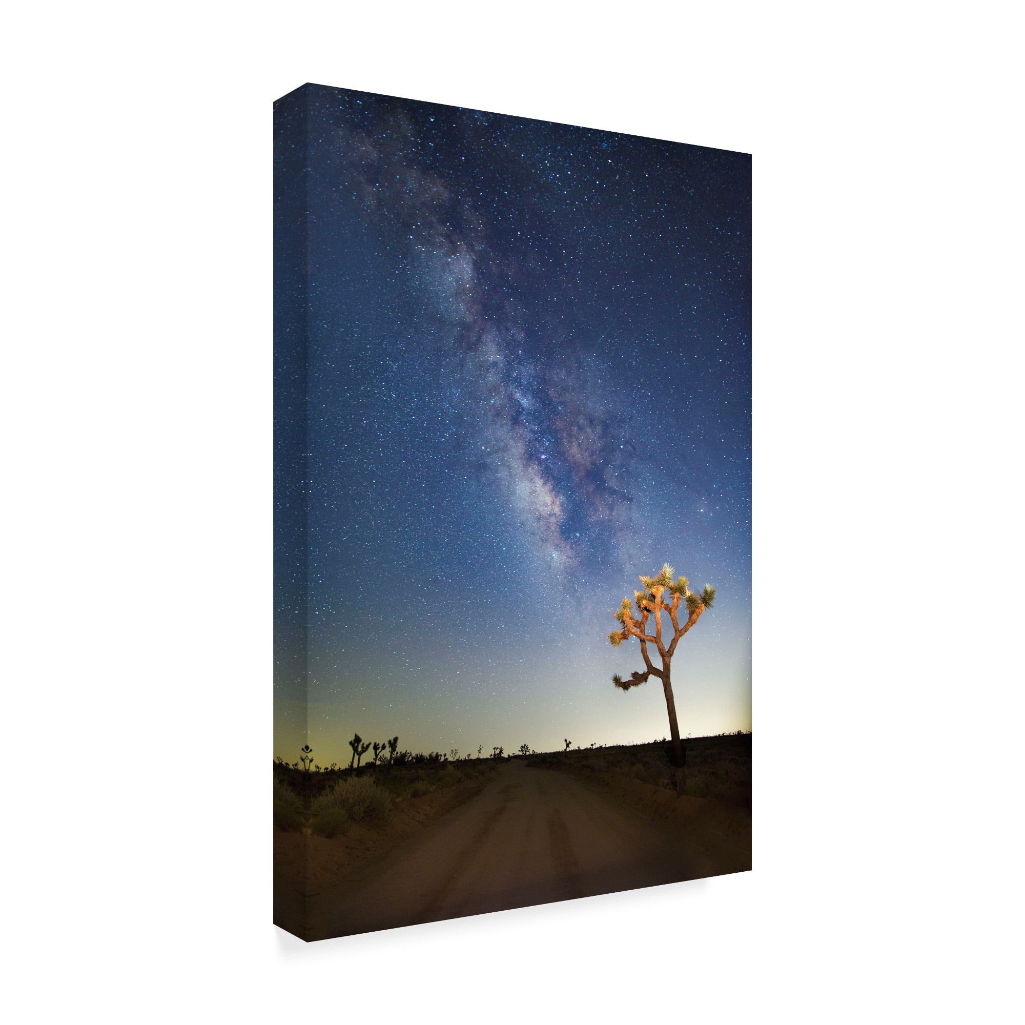 Trademark Fine Art 'Joshua Tree Milkyway' Canvas Art by American School