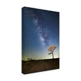 thumbnail image 2 of Trademark Fine Art 'Joshua Tree Milkyway' Canvas Art by American School, 2 of 4