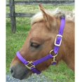 thumbnail image 1 of Mini Nylon Miniature Horse Halter, Purple, 1 of 1