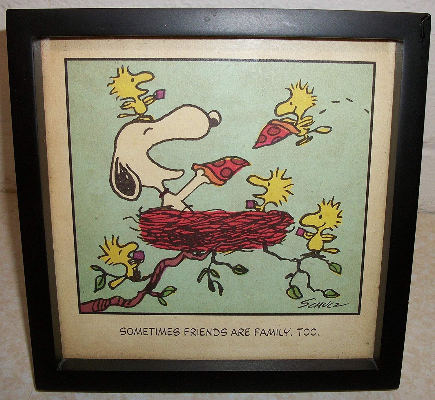Hallmark Paj4668 Peanuts Snoopy And Woodstock Friends Are Family Framed Print Walmart Com Walmart Com