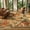 Camel, variant on Beltran 8x10 Washable Tiger Area Rug – Vintage Safari Non Slip Carpet, Boho Pink Print Rug for Large Living Room Open Floor Plan Bedroom, Easy Clean