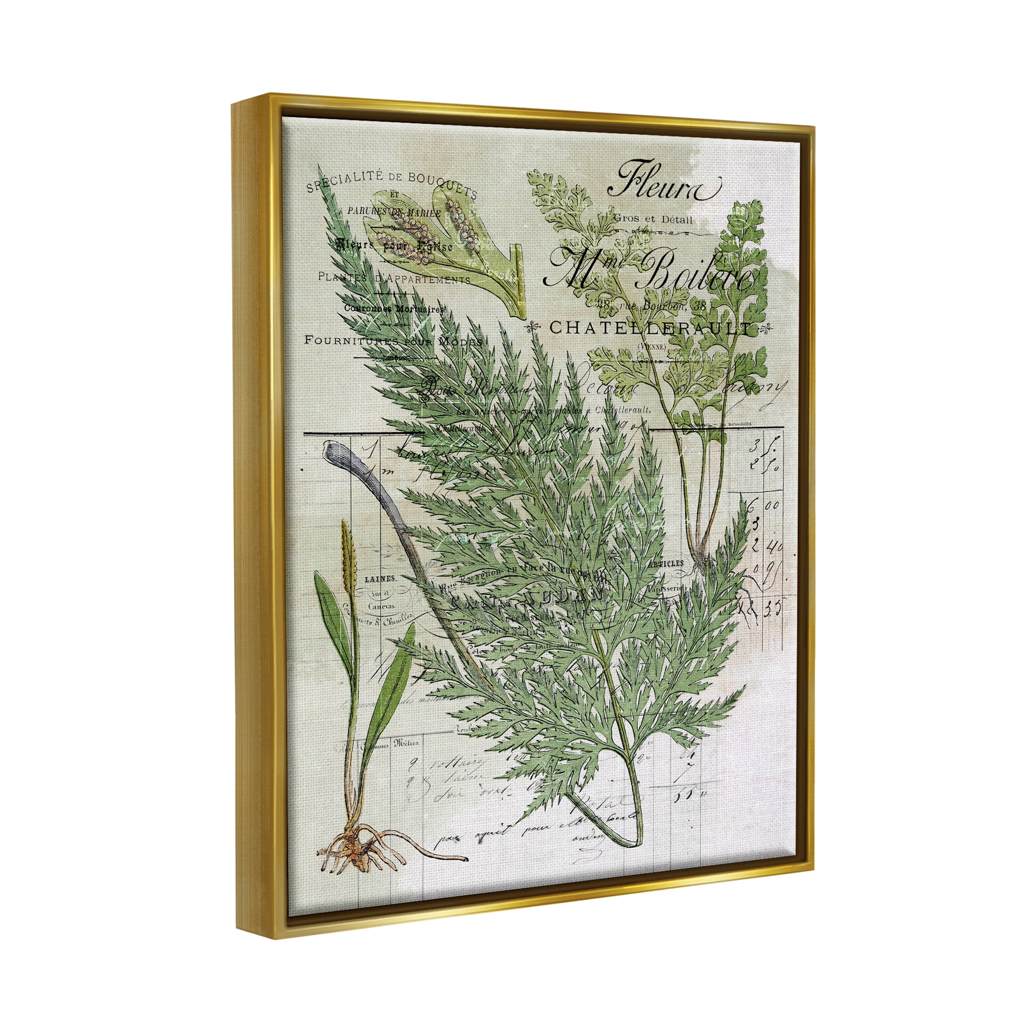Stupell Vintage Nature Fern Studies Botanical & Floral Painting Gold Floater Framed Art Print Wall Art