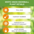 thumbnail image 3 of Garden State Bulb White Snowball Onion Sets for Planting, Non-GMO (1LB Bag), 3 of 8