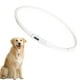 thumbnail image 4 of Collar LED para perro, correa de seguridad nocturna con luz intermitente que brilla en la oscuridad. blanco, 4 of 9