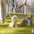 thumbnail image 2 of Zonao Dog Harness and Leash Set-Vest Harness with Handle,Adjustable,for Small Dog Medium Dog Cat Walking Traveling, 2 of 4