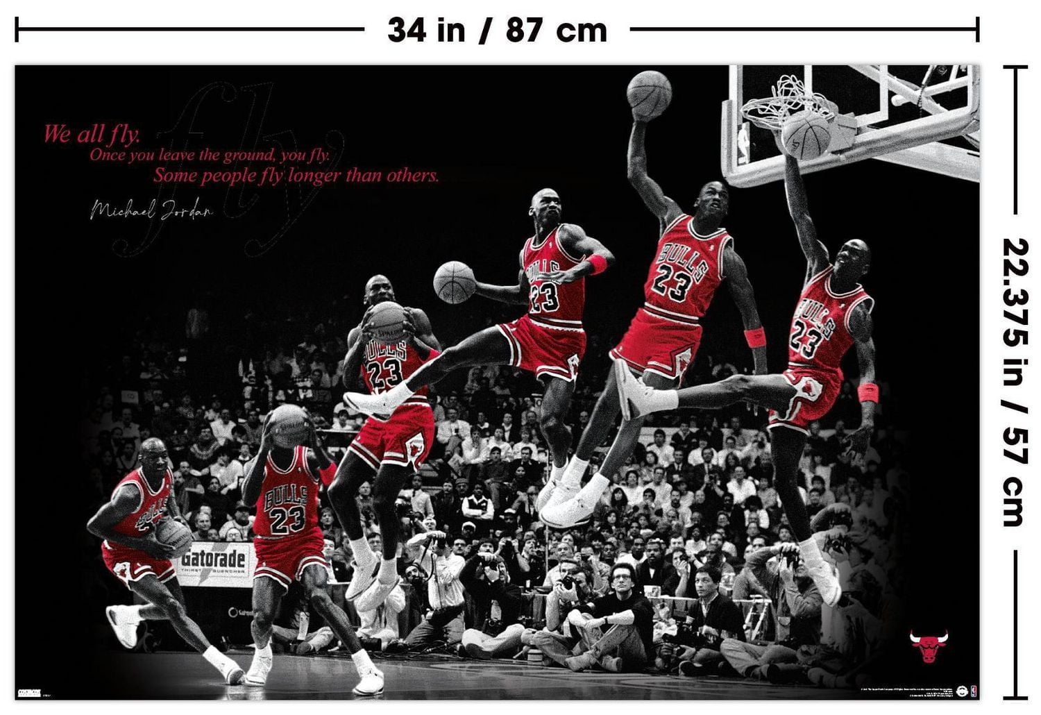 Michael Jordan - Fly Wall Poster, 22.375" x 34"