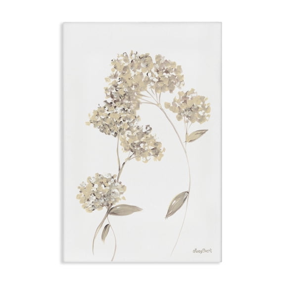 Stupell Industries Farmhouse Neutral Geranium Florets Canvas Art, 16 x 24, by Roy Ebert