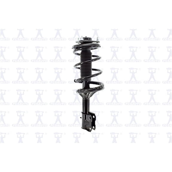 Suspension Strut and Coil Spring Assembly