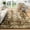 F12-Brown, variant on Wondo Washable Abstract Area Rug, 7x10 Brown Modern Living Room Carpet, Non-Slip Non-Shedding Bedroom Rug, Indoor Rugs, Stain Resistant Rug for Dining Room and Dorm