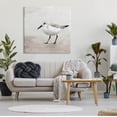 thumbnail image 2 of Stupell Industries Lone Sandpiper Bird Portrait Graphic Art Gallery Wrapped Canvas Print Wall Art, Design by Kim Allen, 2 of 7