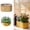 A, variant on Clearance! Soovim Indoor Pots Planting Pots Natural Wicker with Liner Handwoven for Indoor and Outdoor Use for Home Cottage & Garden