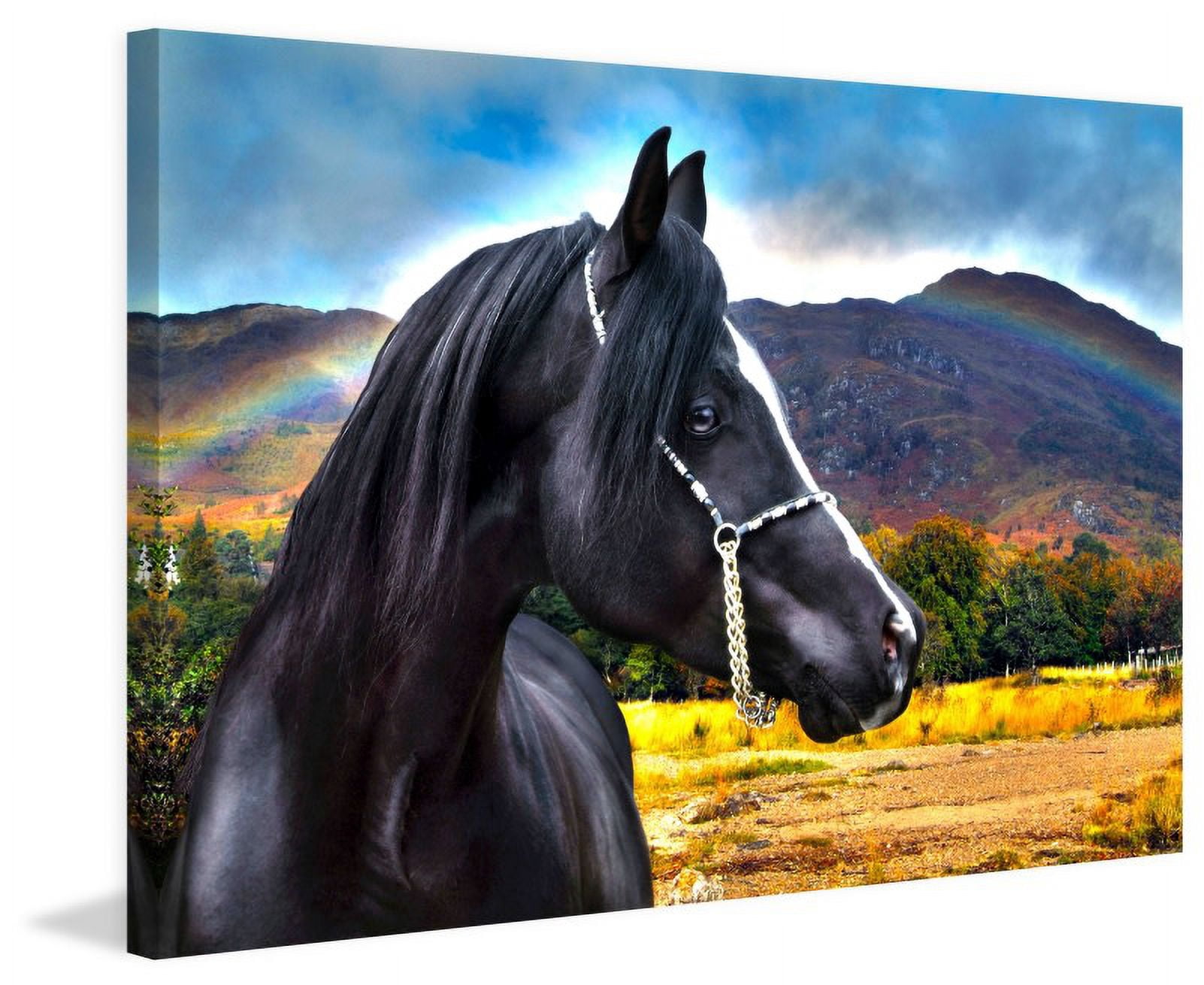 Marmont Hill "Rainbow" by Maggie Dee Painting Print on Canvas