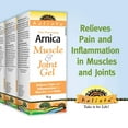 thumbnail image 1 of Holista Arnica Muscle & Joint Gel -- 3 x 75 g, 1 of 2