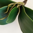 thumbnail image 3 of Simulation Leaves Non-Wilting Fake Phalaenopsis Orchid Leaves Home Decor-G, 3 of 5