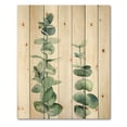 thumbnail image 3 of Designart 'Green Eucalyptus Branch' Tropical Print on Natural Pine Wood, 3 of 5