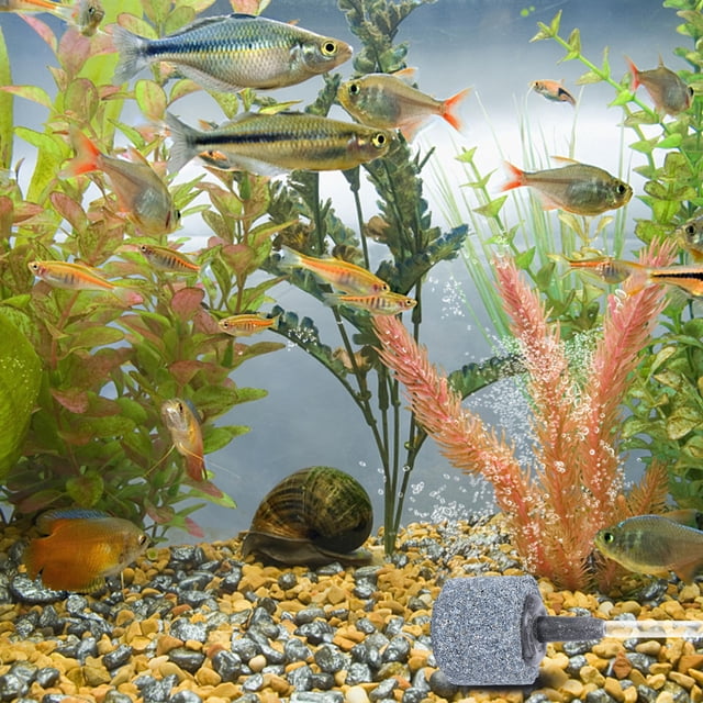 IDEANATEGRATE 10Ud Accesorio Para De Peces Difusor De Densas Para Mayor Oxigenación