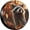 Fall Raccoon, variant on Brown Bear Spare Tire Cover for Rv Trailer Camper- Waterproof Wheel Protectors Cute Wheel Cover Universal Fit for Truck SUV Travel Camping Outdoor-14 inch