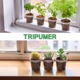 thumbnail image 6 of Tripumer Transparent Nursery Pot 3/4/5/6 Inch Plastic Planter with Drainage Holes Plant Growing Pot Seed Starter Pot High Transparency Gardening Pot Indoor Outdoor Available 20 Packs, 6 of 9