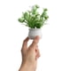 thumbnail image 4 of Uuiauoio Small Artificial Plants Mini Easter Egg Plants in Pot, Faux Greenery Potted with Fake Easter Eggs and Flowers for Table Home Office Desk Shelf Decor, 4 of 7