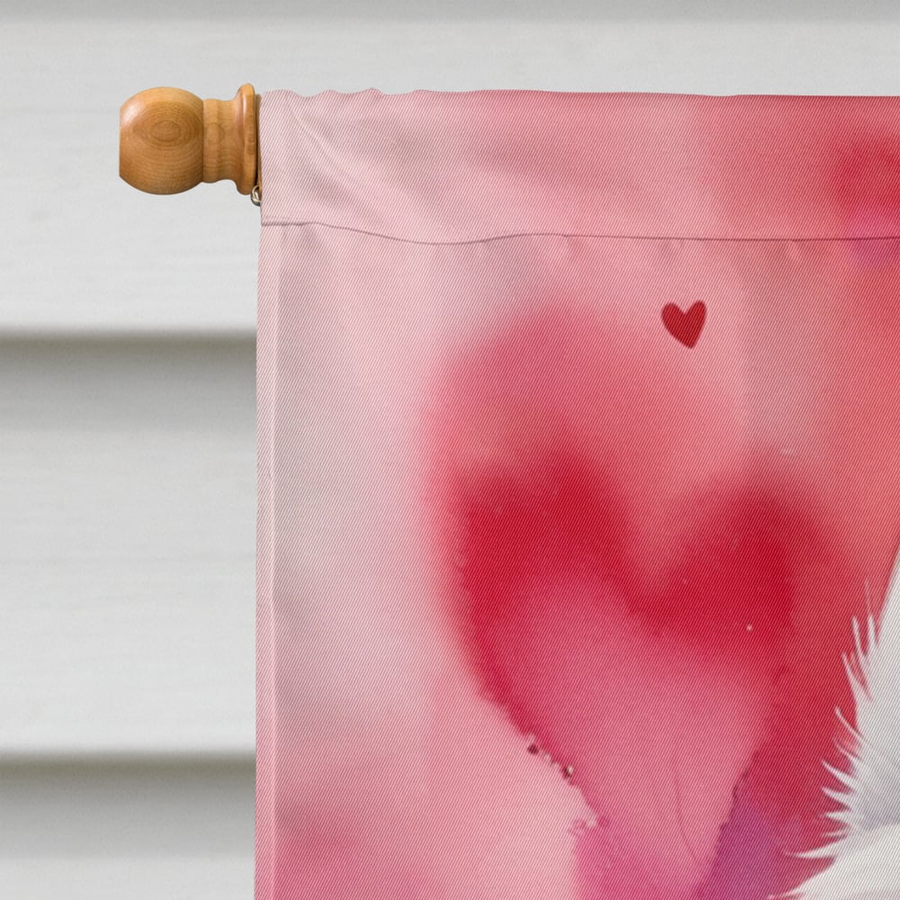 Caroline's Treasures DAC5263CHF American Eskimo My Valentine House Flag Large Porch Sleeve Pole Decorative Outside Yard Banner Artwork Wall Hanging, Polyester, House Size, Multicolor