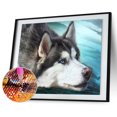thumbnail image 2 of 5D DIY diamante pintura lobo tumbado completo taladro cuadrado manualidades Rhinestone colgantes FLhrweasw Nuevo, 2 of 9