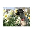 thumbnail image 1 of Kevin Milner Countryside Hungry Lamb Greetings Card, 1 of 1