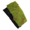 thumbnail image 1 of YOSADIER Faux Moss Emulated Moss Mat Green Plastic Decoration Patios 1Pcs, 1 of 6
