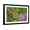 Black Frame, variant on Art.com USA, California, Santa Barbara. Monarch butterfly on flower. Photographic Print by Jaynes Gallery, Brown Frame Wall Art, 23" x 17"