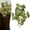 A, variant on Artificial Hanging Caladium Red Leaf Plant 45cm for Indoor Wall Balcony Patio Decor
