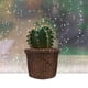 thumbnail image 4 of Cesta para macetas de pastos marinos para interiores, cubierta para macetas, contenedores para plantas, cubierta para macetas tejida Natural (1 paquete), 4 of 5