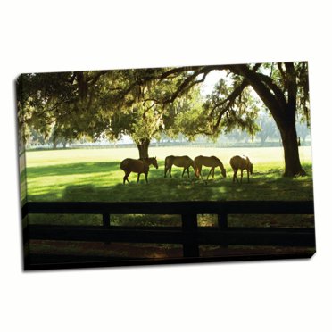 Gango Home Decor Horses in the Sunrise 1 by Alan Hausenflock (Ready to Hang); One 36x24in Hand-Stretched Canvas