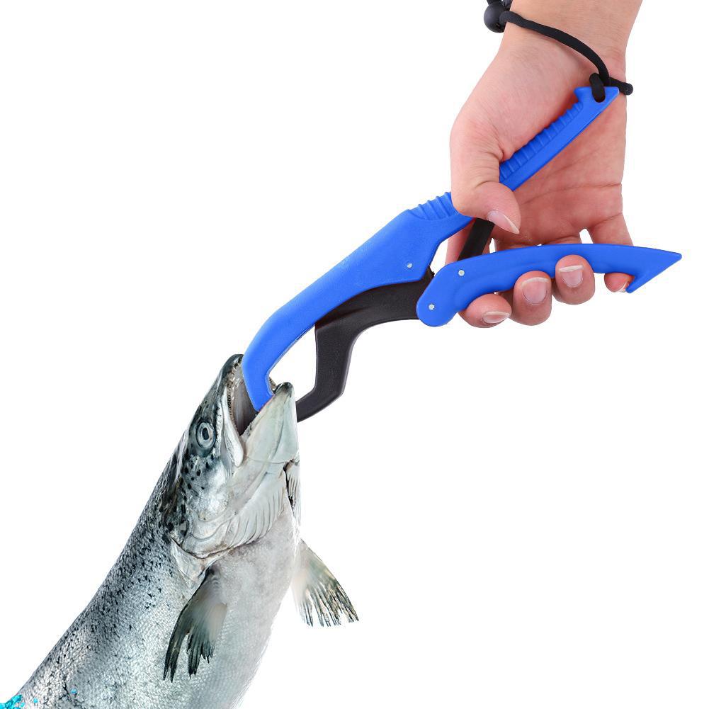 fish clamp holder