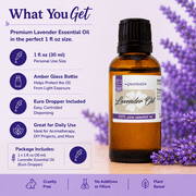 Lavender Essential Oil - 1 fl oz (30 ml) - Amber Glass Bottle w/ Euro Dropper - Therapeutic Grade - GreenHealth
