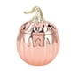 thumbnail image 2 of Copa de vino de calabaza de acero inoxidable con forma de calabaza, color oro rosa, sencilla y práctica, con tapa para bar en casa., 2 of 14