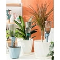 thumbnail image 4 of Self Watering Planter Insert Bottle,Green Plant Watering Globes Automatic Self Watering Spikes Self Watering Planter Insert,Easy to Refill & Maintain for Outdoor Indoor Garden Plants, 4 of 6