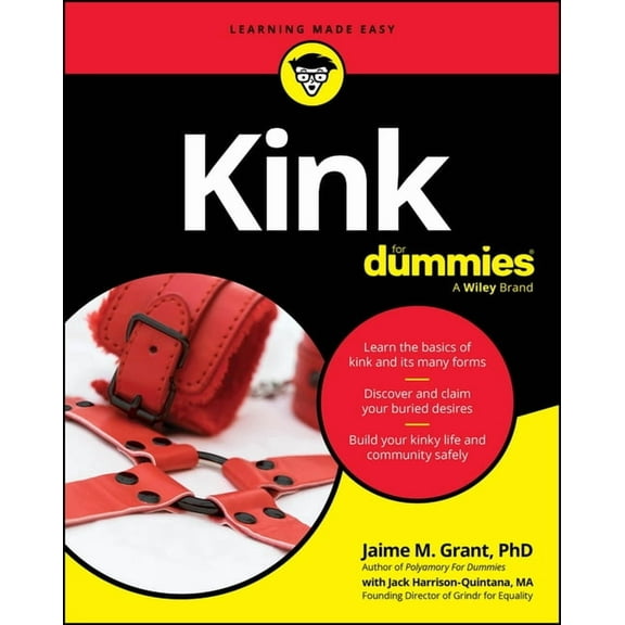 Kink for Dummies, (Paperback)