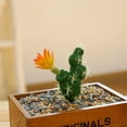 thumbnail image 4 of Artificial Plant Natural Vivid Plastic Artificial Plant Faux Fake Succulents for Desktop, 4 of 8