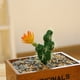 thumbnail image 5 of Gwong Decoración hogareña Planta artificial planta natural vívida planta artificial faux falsa suculents para escritorio Gwong 21078614, 5 of 6